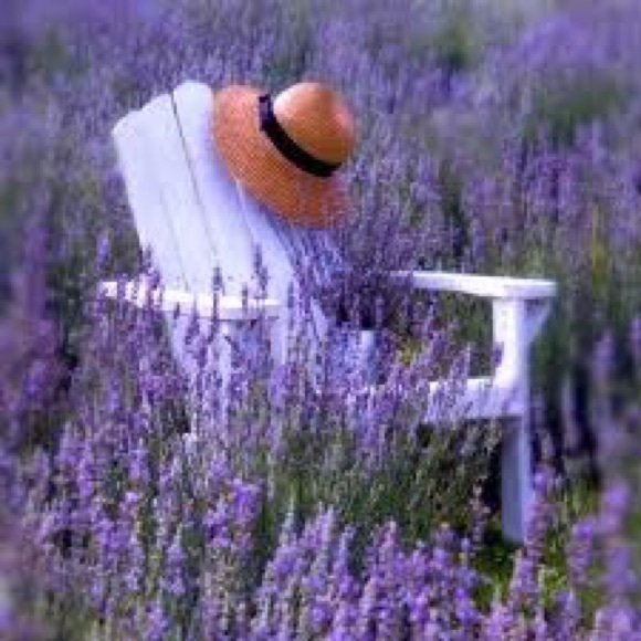 💜Meet your Posher, Elizabeth.   Poshmark Ambassador - Picture 4 of 5